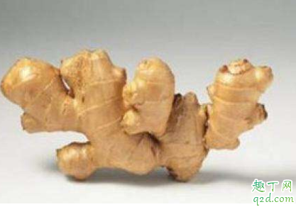 生姜应该如何贮藏 生姜贮藏的温度要求是什么