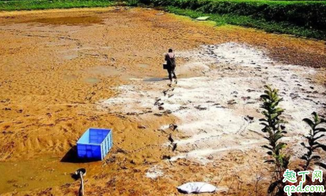 石灰可以杀死新型冠状病毒吗 路上撒石灰可以控制新冠肺炎吗