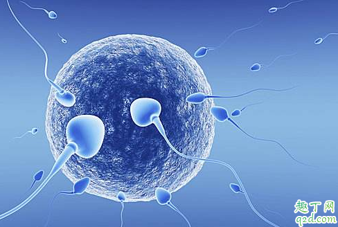 女性绝经后还能怀孕吗通过药物恢复月经还可以怀孕吗