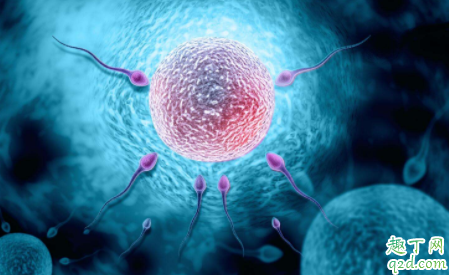 女性绝经后还能怀孕吗通过药物恢复月经还可以怀孕吗