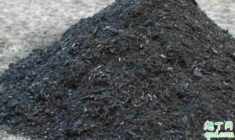 大蒜上撒草木灰好吗 大蒜什么时间撒草木灰最好