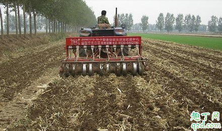 为什么塇地种不出好豆子 为什么硬地可以种出好种子