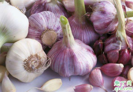如何种出高品质大蒜苗 种植大蒜苗如何选种