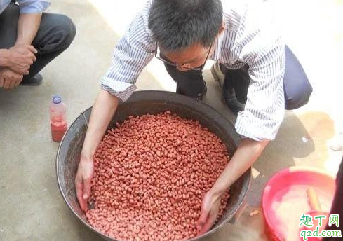 种花生怎样拌种不生虫 种花生拌种怎么加水