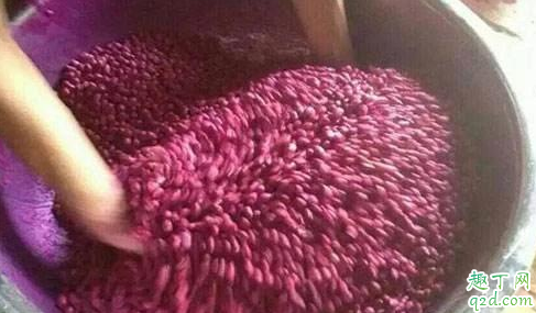 种花生怎样拌种不生虫 种花生拌种怎么加水