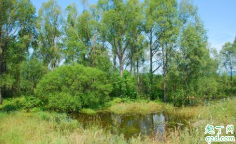 大暑是一年最热的时候吗 大暑热不透大热在秋后大暑不是暑伏