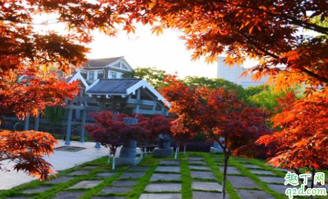 大暑是一年最热的时候吗 大暑热不透大热在秋后大暑不是暑伏