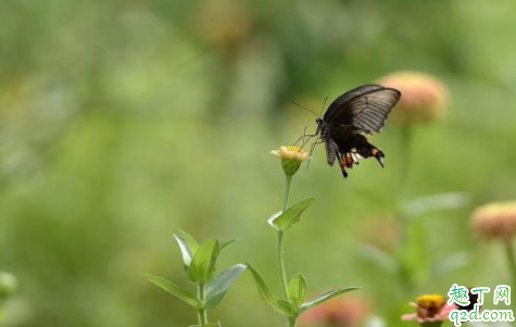 2020年夏天会很热吗 2020年夏天高温预测