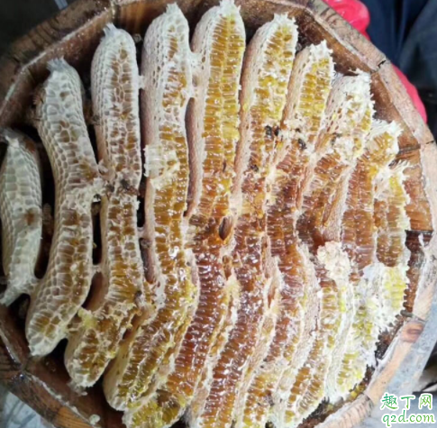 疫情期间蜂蜜卖不出去怎么办 蜂蜜销售渠道有哪些