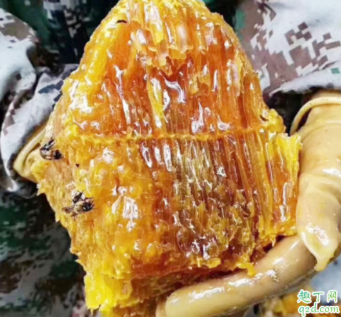 疫情期间蜂蜜卖不出去怎么办 蜂蜜销售渠道有哪些