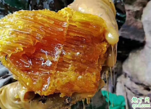 疫情期间蜂蜜卖不出去怎么办 蜂蜜销售渠道有哪些