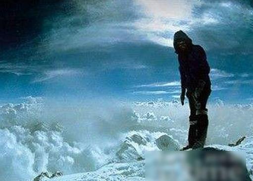 十大经典探险求生电影排名，《南极大冒险》《重见天日》惊险刺激