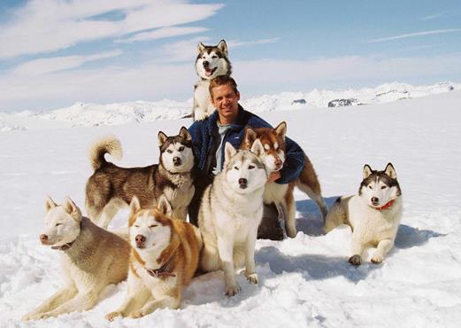 十大经典探险求生电影排名，《南极大冒险》《重见天日》惊险刺激