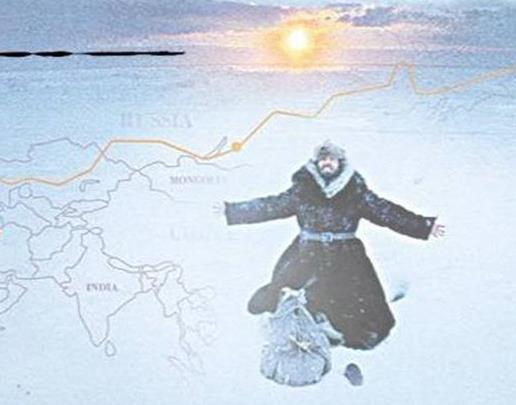 十大经典探险求生电影排名，《南极大冒险》《重见天日》惊险刺激