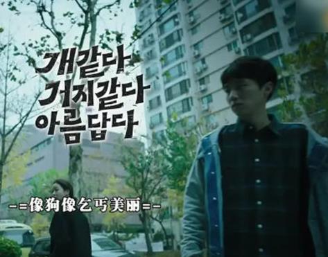 2019韩国高分电影排名，《寄生虫》豆瓣评分8.7，《小委托人》感人