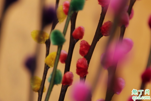 银柳适合在家里放吗 银柳有哪些摆放禁忌