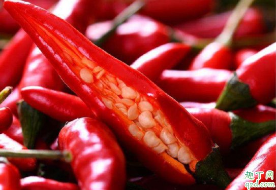 麦茬朝天椒如何选种 麦茬朝天椒怎么追肥