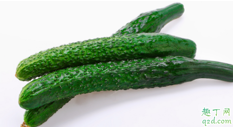 黄瓜叶片发黄是什么病 黄瓜叶子发黄怎么解决