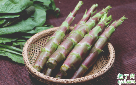 贡菜和莴笋是一种植物吗 贡菜和莴笋的区别在哪