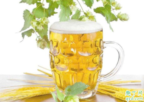 啤酒可以浇花吗 啤酒适合浇什么植物