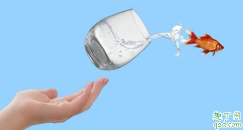 工作两年跳槽合适吗 现在跳槽时机好不好