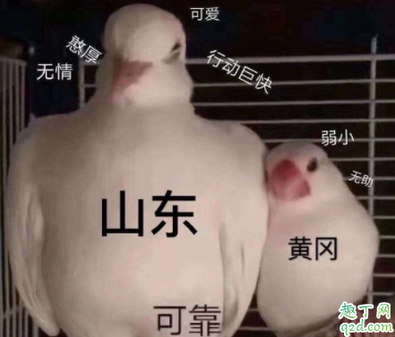 最近山东怎么了 为什么抖音山东火了2020