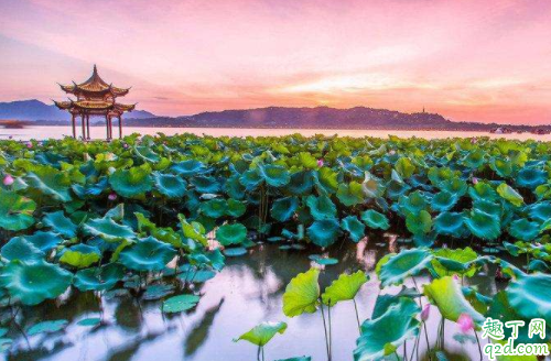 外地人回杭州需要隔离吗 现在可以回杭州了吗