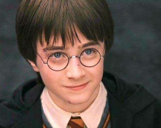 美国魔法电影排行榜，《哈利波特》是代表之作，《指环王》人气高