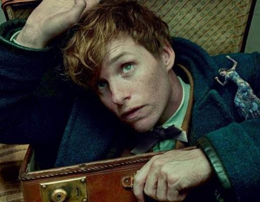 美国魔法电影排行榜，《哈利波特》是代表之作，《指环王》人气高