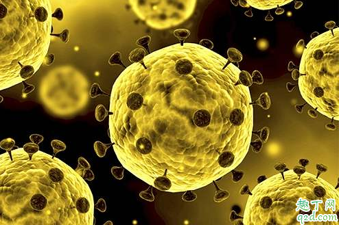 新型冠状病毒治愈后还会感染吗 新型肺炎治好后怎么防止二次感染