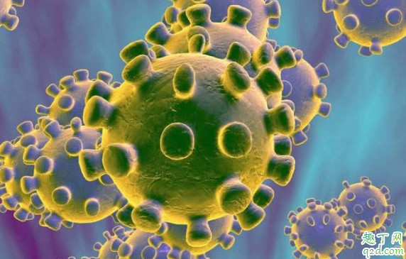 新型冠状病毒治愈后还会感染吗 新型肺炎治好后怎么防止二次感染