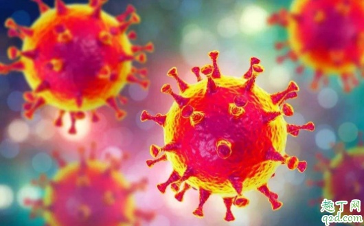 新型冠状病毒治愈后还会感染吗 新型肺炎治好后怎么防止二次感染