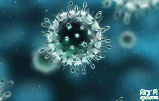 新型冠状病毒可以通过皮肤进入人体吗 皮肤接触病毒会感染吗