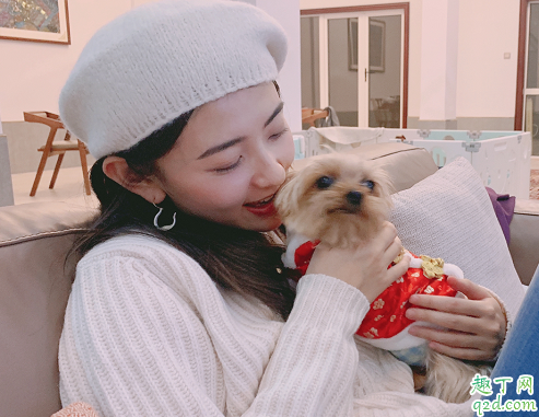 你是我的命中注定根据什么改编的 你是我的命中注定全集在线观看地址