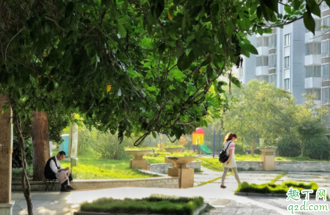 小区不允许出门买菜合理吗 疫情小区封闭买菜怎么办