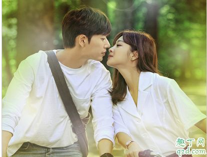 Forest何时播出在哪看 Forest具体更新时间