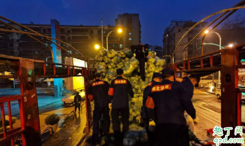 武汉解封三小时是真的吗 武汉为什么解封三小时