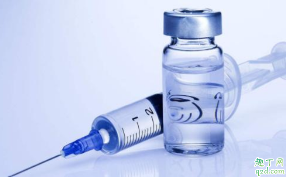 疫情期间可以打狂犬疫苗吗 疫情期间要打狂犬疫苗怎么办