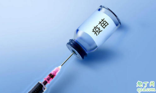 疫情期间可以打狂犬疫苗吗 疫情期间要打狂犬疫苗怎么办