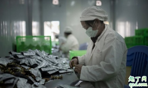 除湖北以外疫情最新消息今天 全国疫情最新消息怎么不更新了