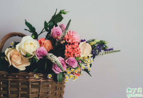 疫情期间能买鲜花吗 疫情期间鲜花安全吗