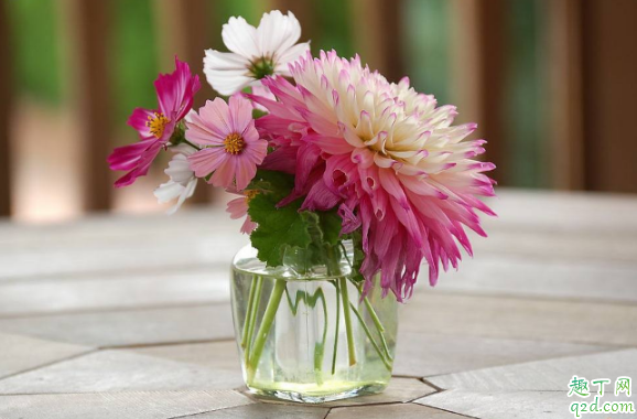 疫情期间能买鲜花吗 疫情期间鲜花安全吗