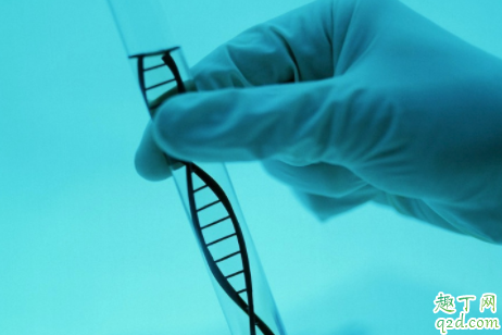 核酸检测一次多少钱 新冠肺炎核酸检测多久出结果