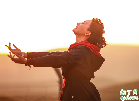 淑女的品格何时播出在哪看 淑女的品格具体更新时间