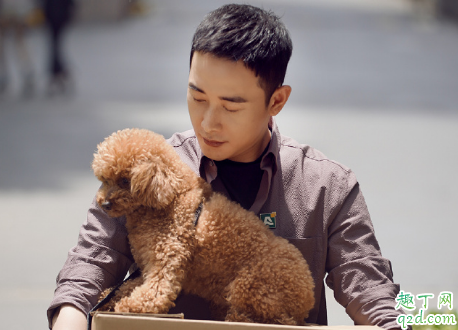 安家何时播出在哪看 安家具体更新时间