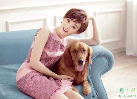 安家根据什么电视剧改编的 安家结局是怎样的