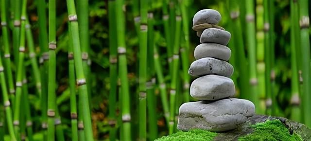 驯服你的脑中野兽 提高专注力的45个技巧