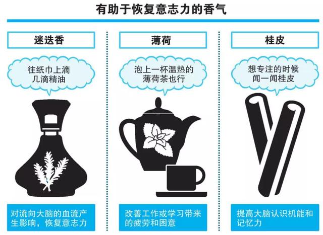 图解专注力 为啥注意力会严重不集中感觉疲惫