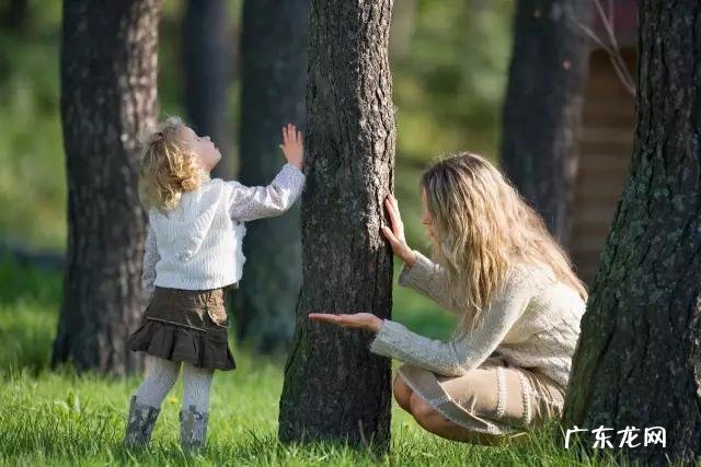 专注力被破坏了怎么补救 亲手毁掉的专注力怎么补救回来