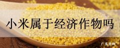 小米属于经济作物吗